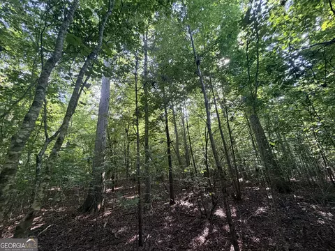 8 Bunch Rd, Tignall, GA 30668 photo 54