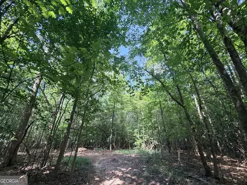 8 Bunch Rd, Tignall, GA 30668 photo 25