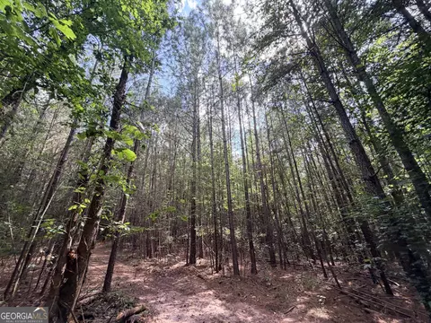 8 Bunch Rd, Tignall, GA 30668 photo 31
