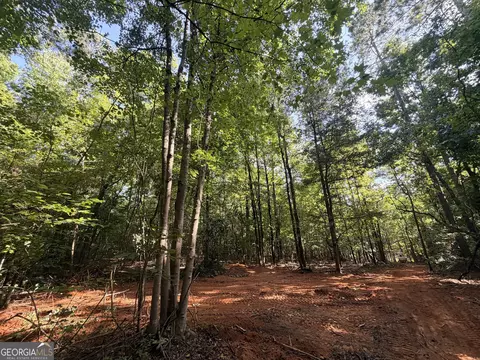 8 Bunch Rd, Tignall, GA 30668 photo 60