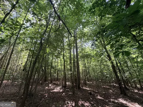8 Bunch Rd, Tignall, GA 30668 photo 28