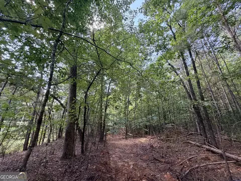 8 Bunch Rd, Tignall, GA 30668 photo 38