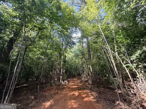 8 Bunch Rd, Tignall, GA 30668 photo 39