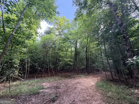 8 Bunch Rd, Tignall, GA 30668 photo 16