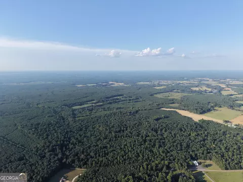 8 Bunch Rd, Tignall, GA 30668 photo 69