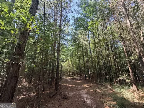 8 Bunch Rd, Tignall, GA 30668 photo 47