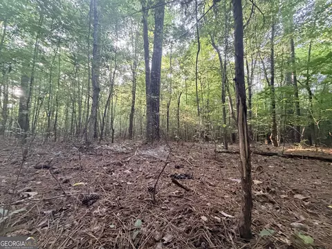 8 Bunch Rd, Tignall, GA 30668 photo 7