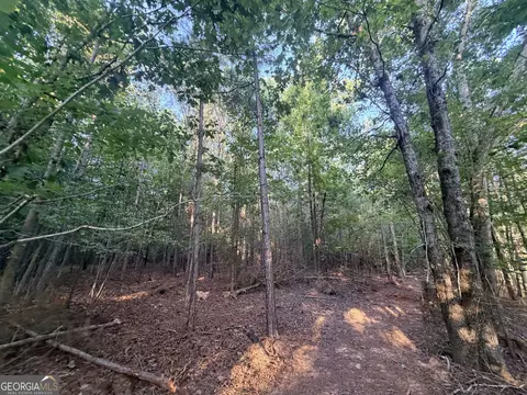 8 Bunch Rd, Tignall, GA 30668 photo 79