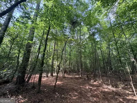 8 Bunch Rd, Tignall, GA 30668 photo 21