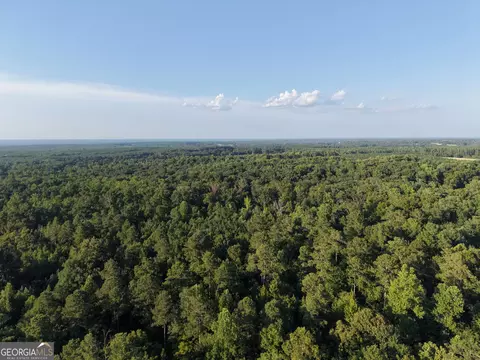 8 Bunch Rd, Tignall, GA 30668 photo 70