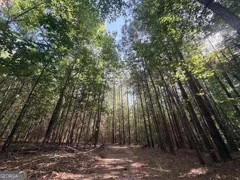 8 Bunch Rd, Tignall, GA 30668 photo 57