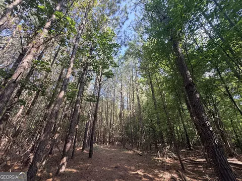 8 Bunch Rd, Tignall, GA 30668 photo 58
