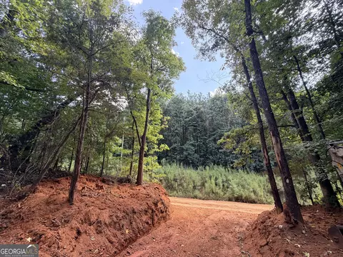 8 Bunch Rd, Tignall, GA 30668 photo 42