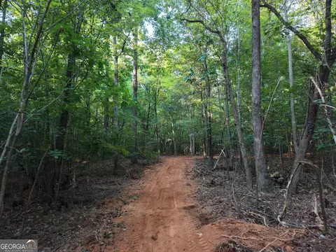 8 Bunch Rd, Tignall, GA 30668 photo 72