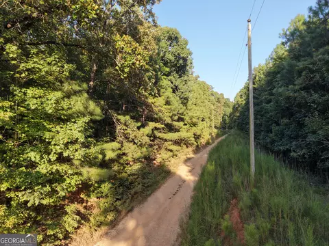 8 Bunch Rd, Tignall, GA 30668 photo 44