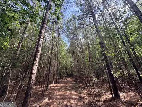 8 Bunch Rd, Tignall, GA 30668 photo 33