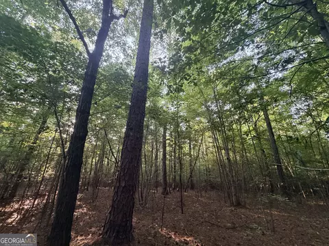 8 Bunch Rd, Tignall, GA 30668 photo 74