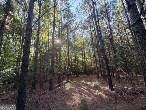 8 Bunch Rd, Tignall, GA 30668 photo 17