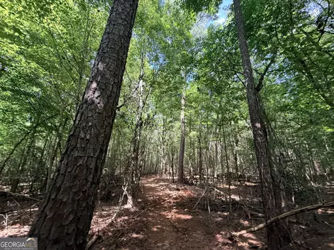 8 Bunch Rd, Tignall, GA 30668 photo 23