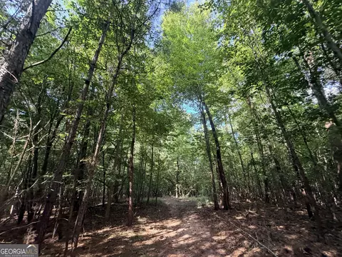 8 Bunch Rd, Tignall, GA 30668 photo 51