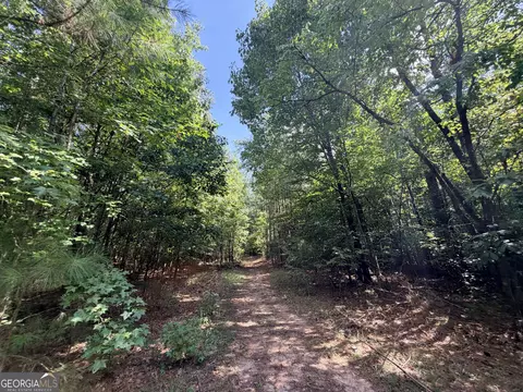 8 Bunch Rd, Tignall, GA 30668 photo 18