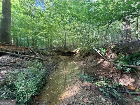 8 Bunch Rd, Tignall, GA 30668 photo 5