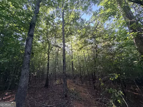 8 Bunch Rd, Tignall, GA 30668 photo 82