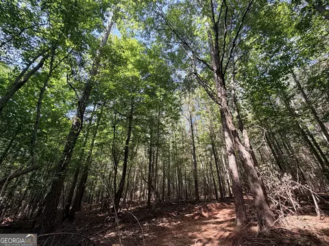 8 Bunch Rd, Tignall, GA 30668 photo 24
