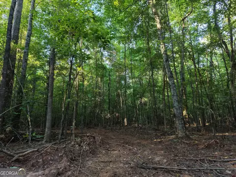 8 Bunch Rd, Tignall, GA 30668 photo 73