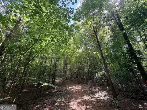 8 Bunch Rd, Tignall, GA 30668 photo 30