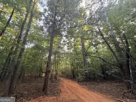 8 Bunch Rd, Tignall, GA 30668 photo 80