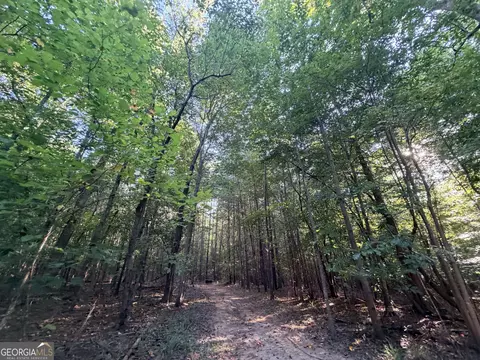 8 Bunch Rd, Tignall, GA 30668 photo 83
