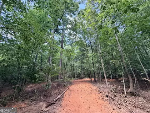 8 Bunch Rd, Tignall, GA 30668 photo 20