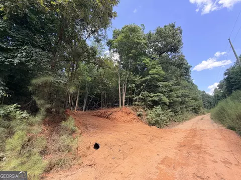8 Bunch Rd, Tignall, GA 30668 photo 41