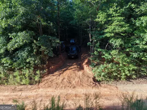 8 Bunch Rd, Tignall, GA 30668 photo 46