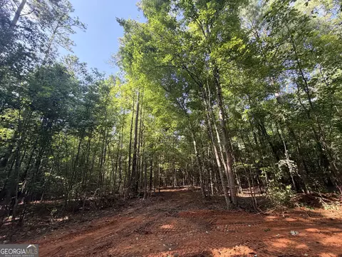 8 Bunch Rd, Tignall, GA 30668 photo 64