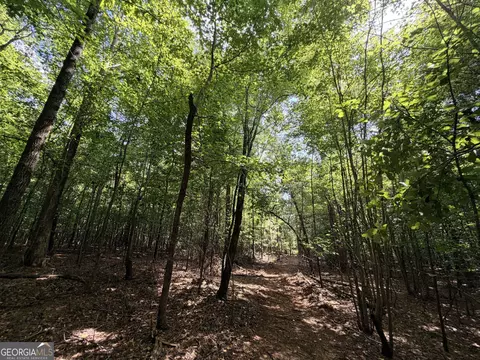 8 Bunch Rd, Tignall, GA 30668 photo 37