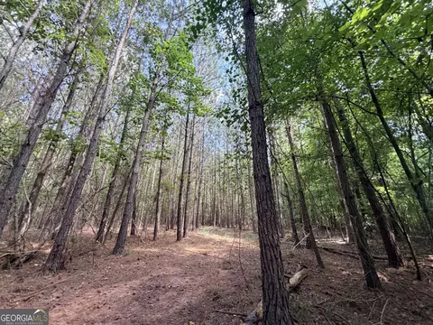 8 Bunch Rd, Tignall, GA 30668 photo 26