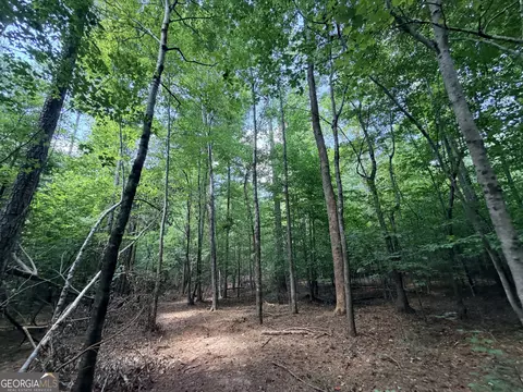 8 Bunch Rd, Tignall, GA 30668 photo 22