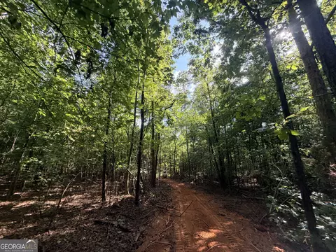 8 Bunch Rd, Tignall, GA 30668 photo 63