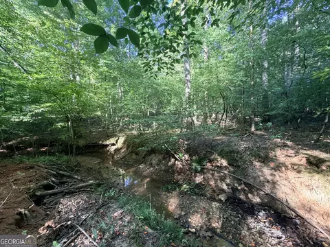 8 Bunch Rd, Tignall, GA 30668 photo 3