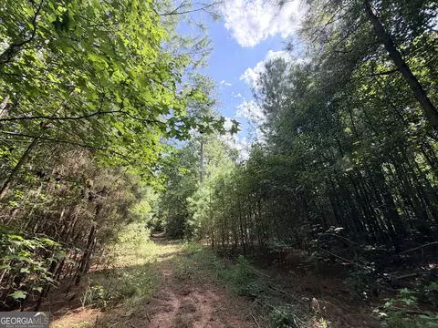 8 Bunch Rd, Tignall, GA 30668 photo 35