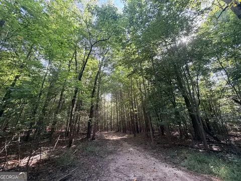 8 Bunch Rd, Tignall, GA 30668 photo 56