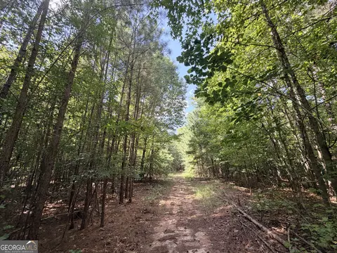 8 Bunch Rd, Tignall, GA 30668 photo 36