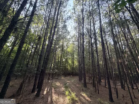 8 Bunch Rd, Tignall, GA 30668 photo 62