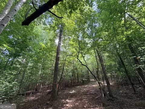 8 Bunch Rd, Tignall, GA 30668 photo 29