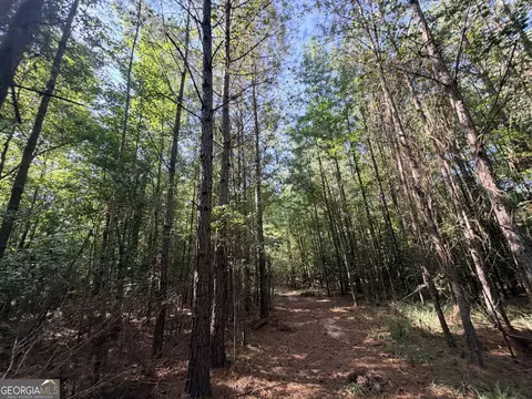 8 Bunch Rd, Tignall, GA 30668 photo 40