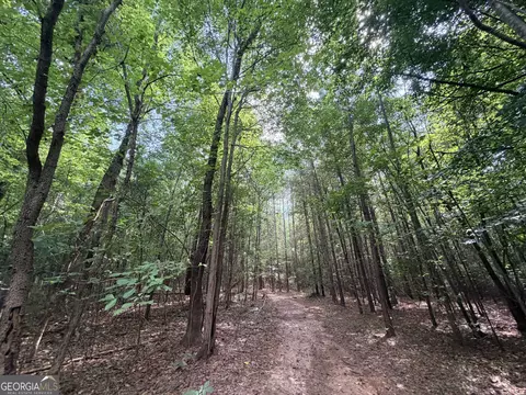 8 Bunch Rd, Tignall, GA 30668 photo 32