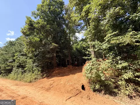 8 Bunch Rd, Tignall, GA 30668 photo 45