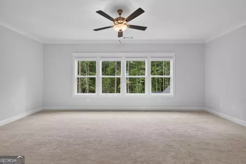 130 Ryder Cir, Tyrone, GA 30290 photo 36